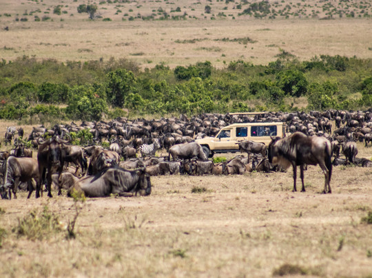 Kenya Expresso Tours and Safaris-内罗毕必去景点