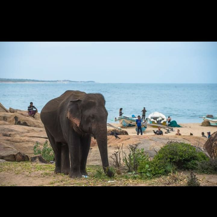 Pottuvil Lagoon-Pottuvil必去景点