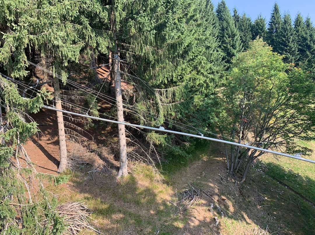 Flyline-Kurort Oberwiesenthal必去景点