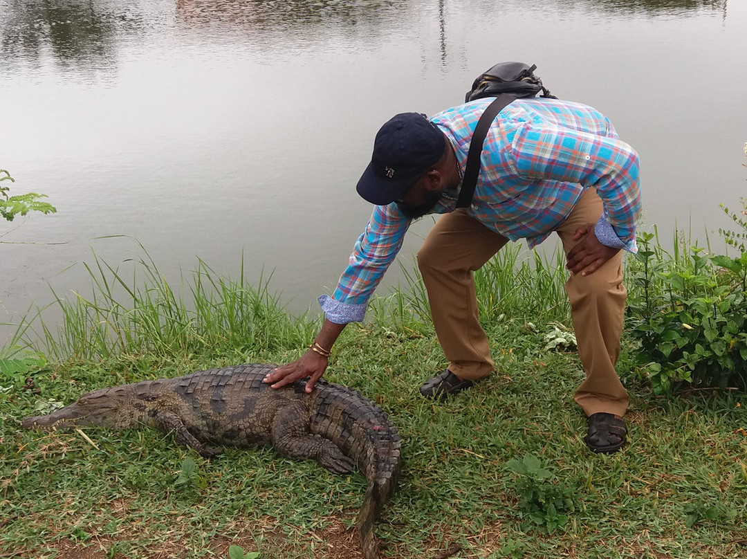 Hans Cottage Botel主图