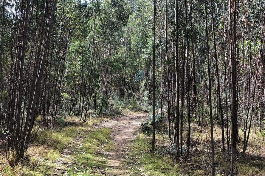 Bicitours Suamox Colombia-Sogamoso必去景点