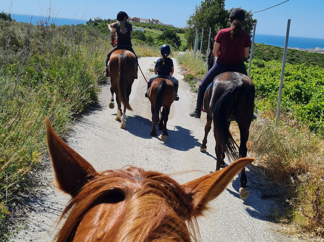 Happy Horse Riding Academy景点图片