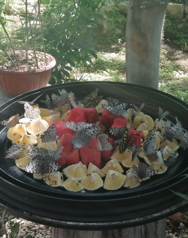 Parque Acuatico Baxal Ja-梅里达必去景点