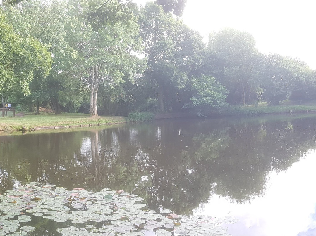 Wellington Basin-惠灵顿必去景点