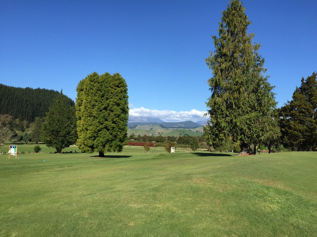 Totaradale Golf Club景点图片