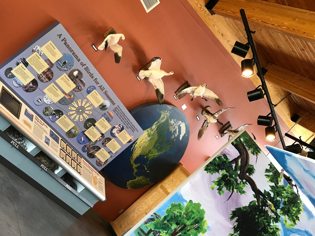 Kansas Wetlands Education Center-Great Bend必去景点