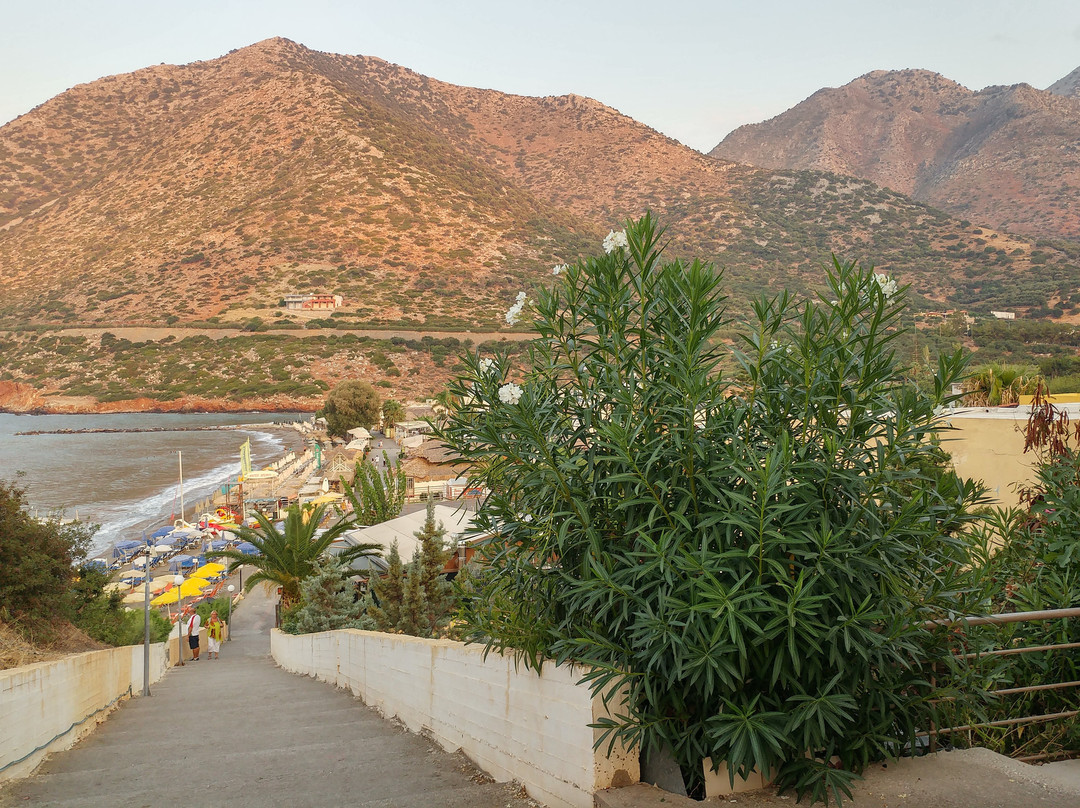 Talea Hotel Beach主图