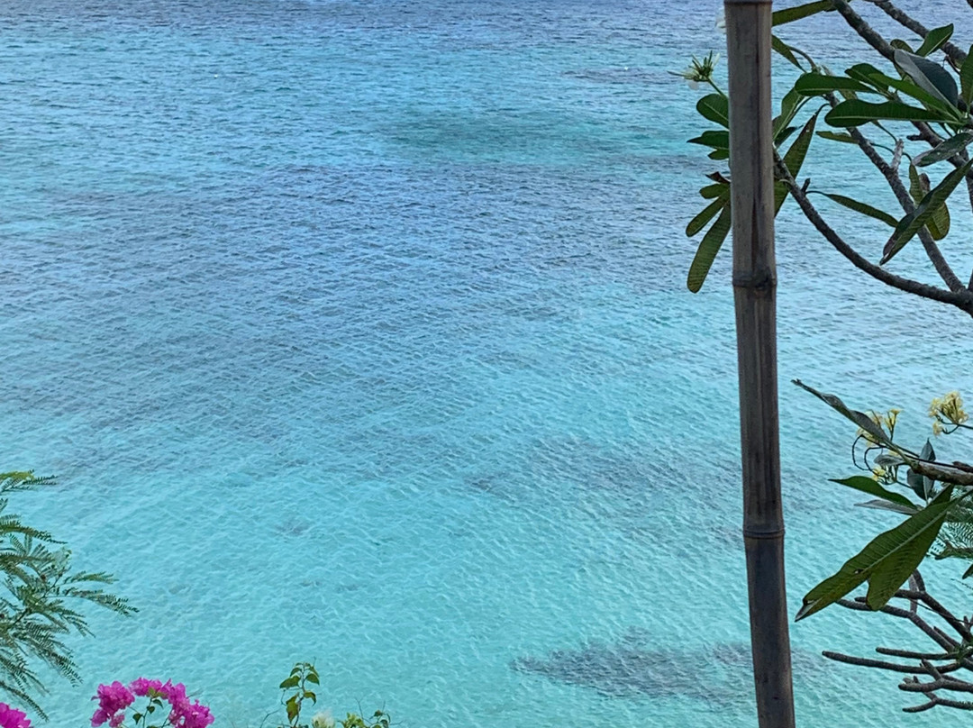 Wadigi Island Resort主图