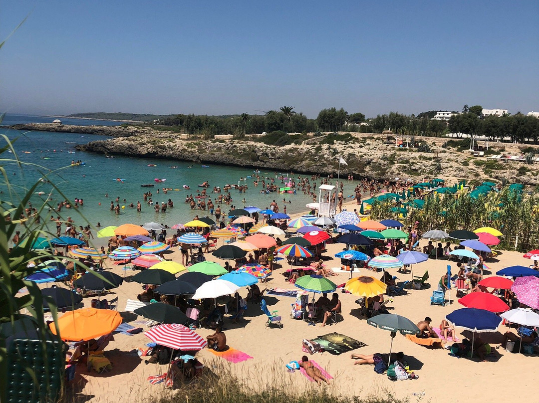 Spiaggia delle Canne景点图片