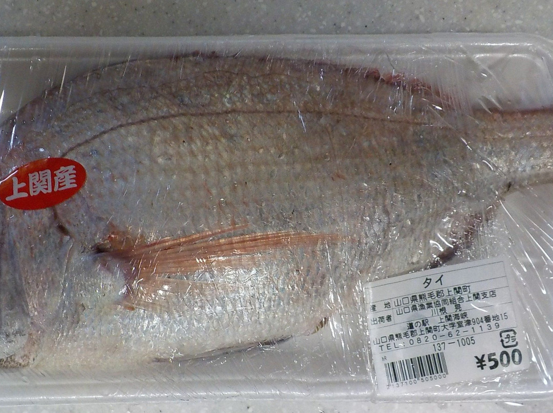 Michi-no-Eki Kaminoseki Kaikyo-上关町必去景点