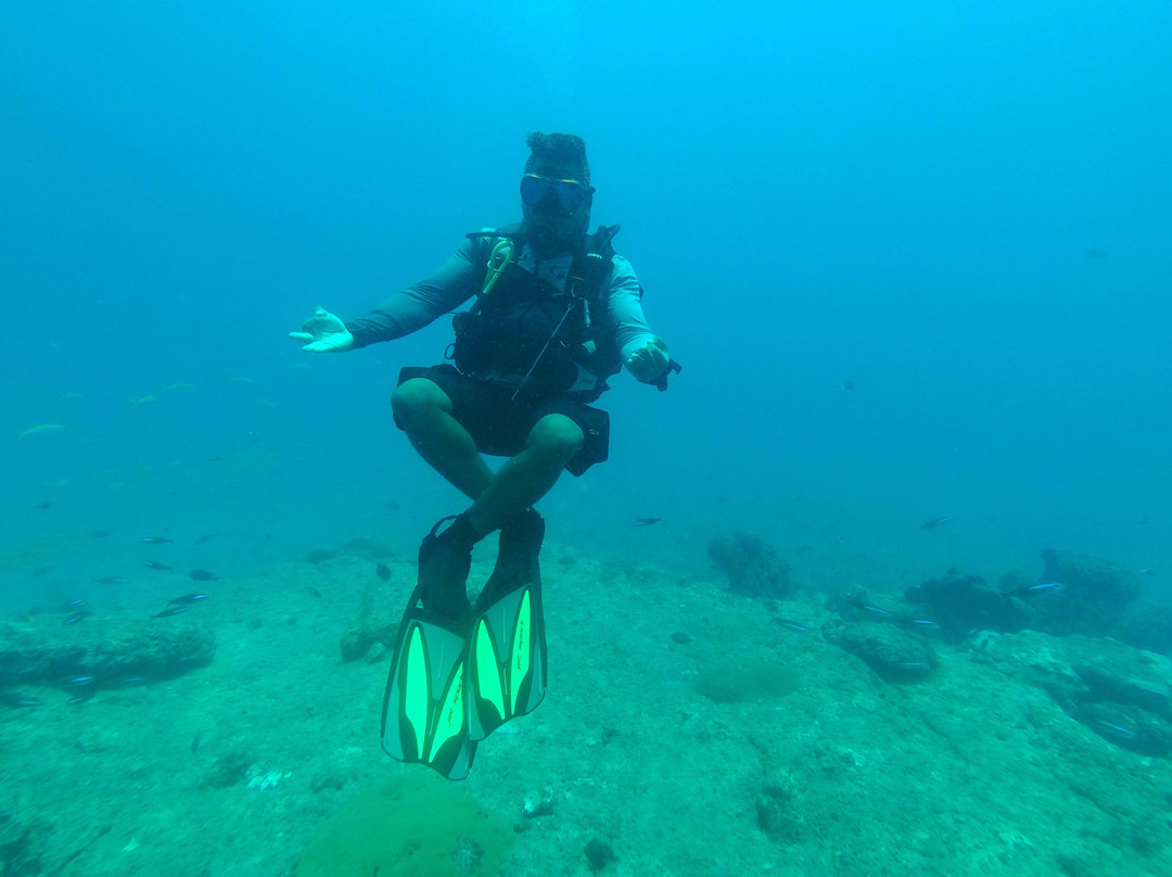 Scuba Yogi景点图片