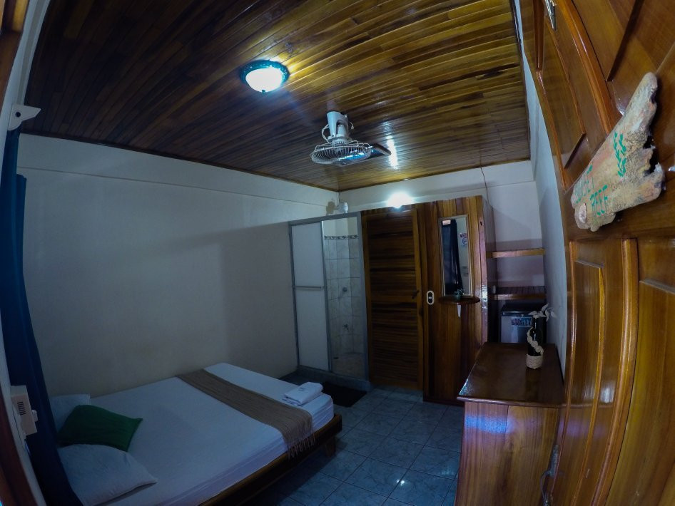 Cocobolo Surf Hotel & School主图