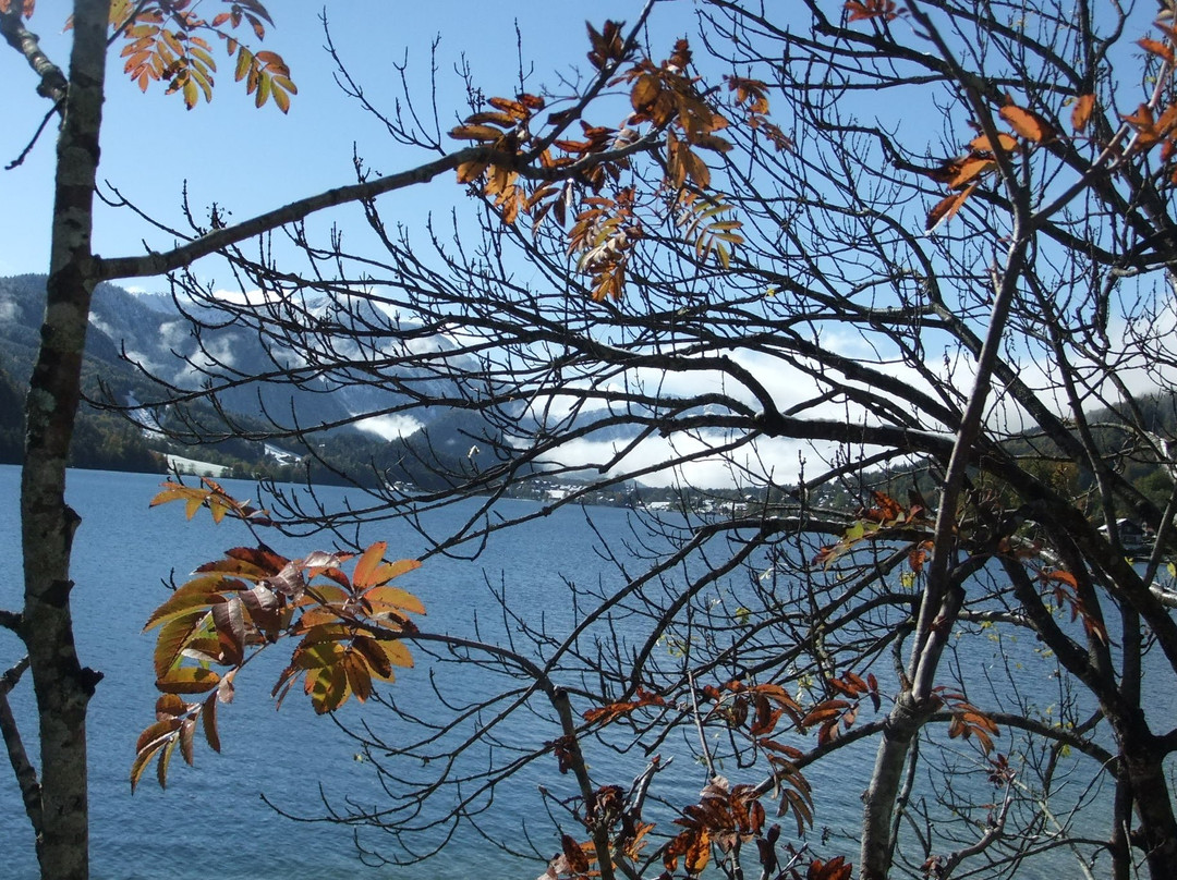 Alpenhof主图