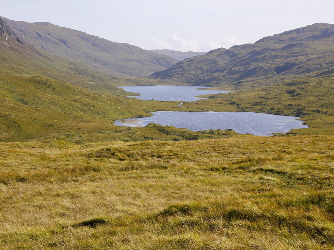 Mull Magic Wildlife - Day Tours-Tobermory必去景点