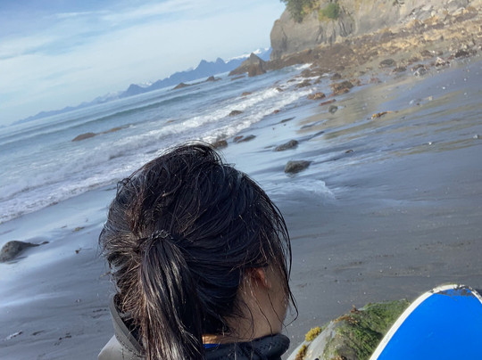 Alaska Surf Guides-苏厄德必去景点