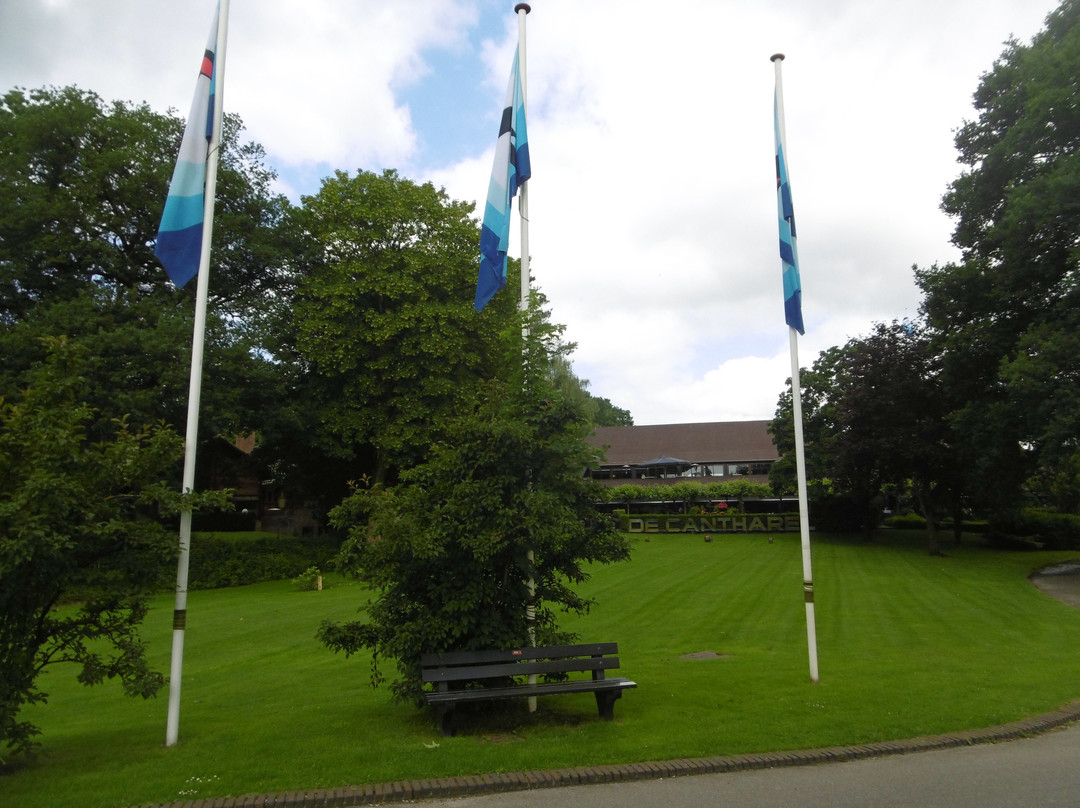 Van der Valk Hotel Apeldoorn - de Cantharel主图