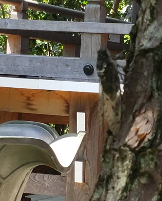 Daigyo-ji Temple-镰仓市必去景点