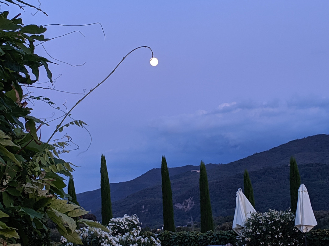 Mas Roure Vell主图