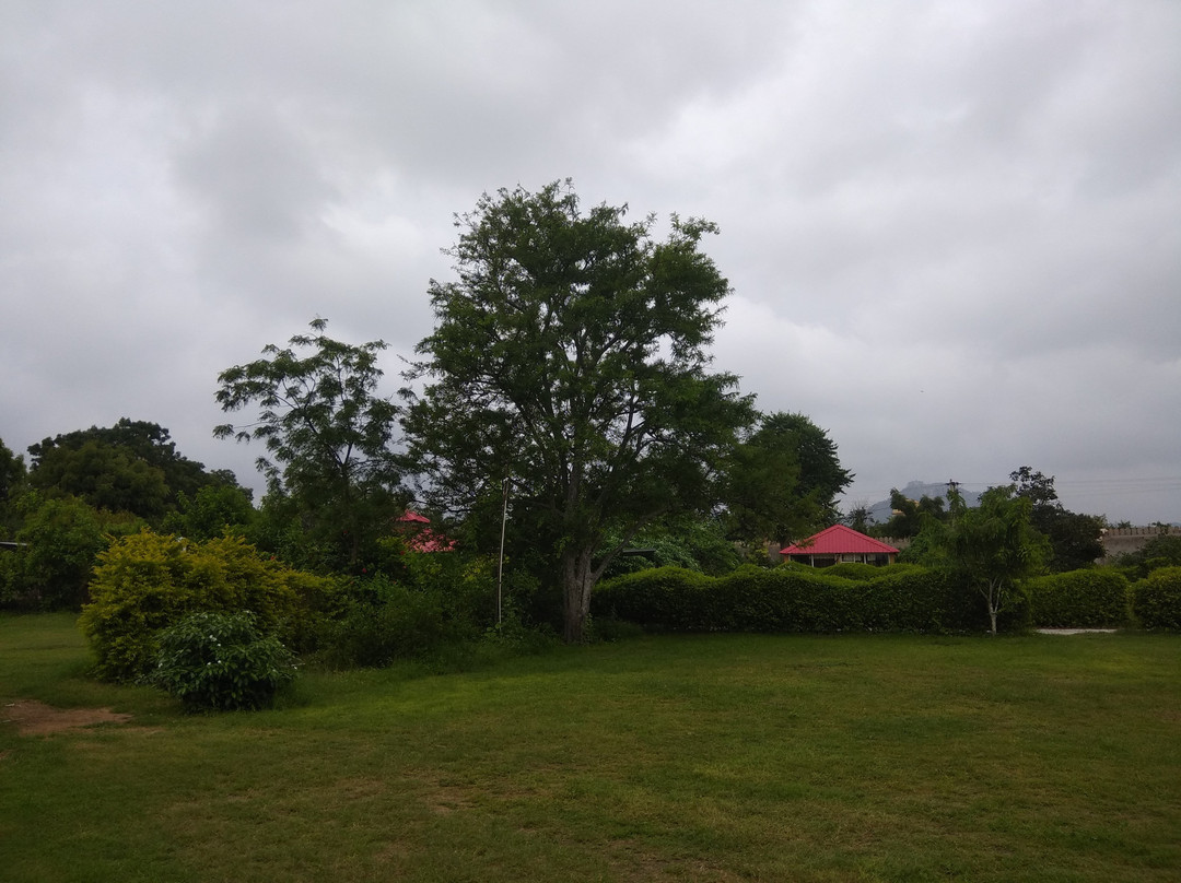 Pushkar Rajwara Resort主图