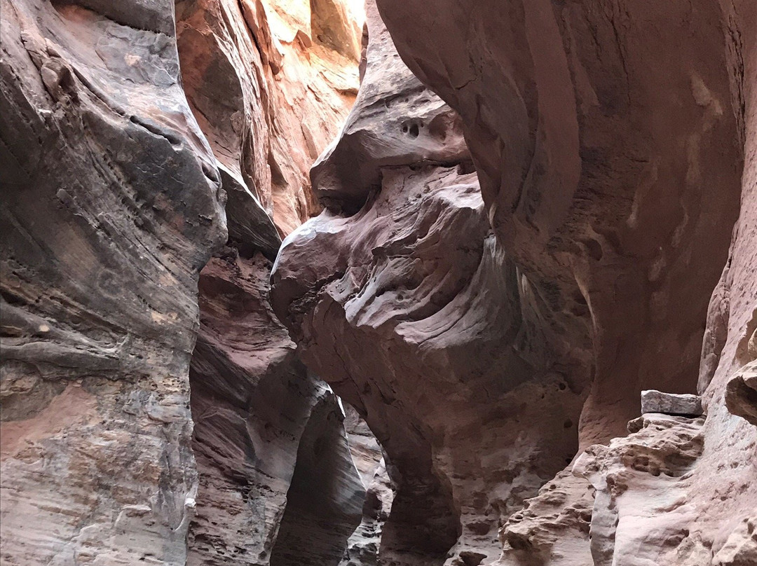 Little Wild Horse and Bell Canyon Trail-格林河必去景点