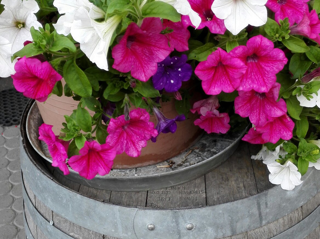 Gasthof Bundschen主图