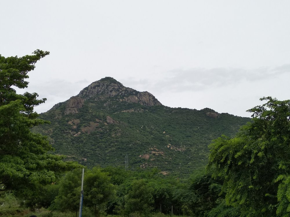Sri Seshadri Swamigal Ashram-Tiruvannamalai必去景点