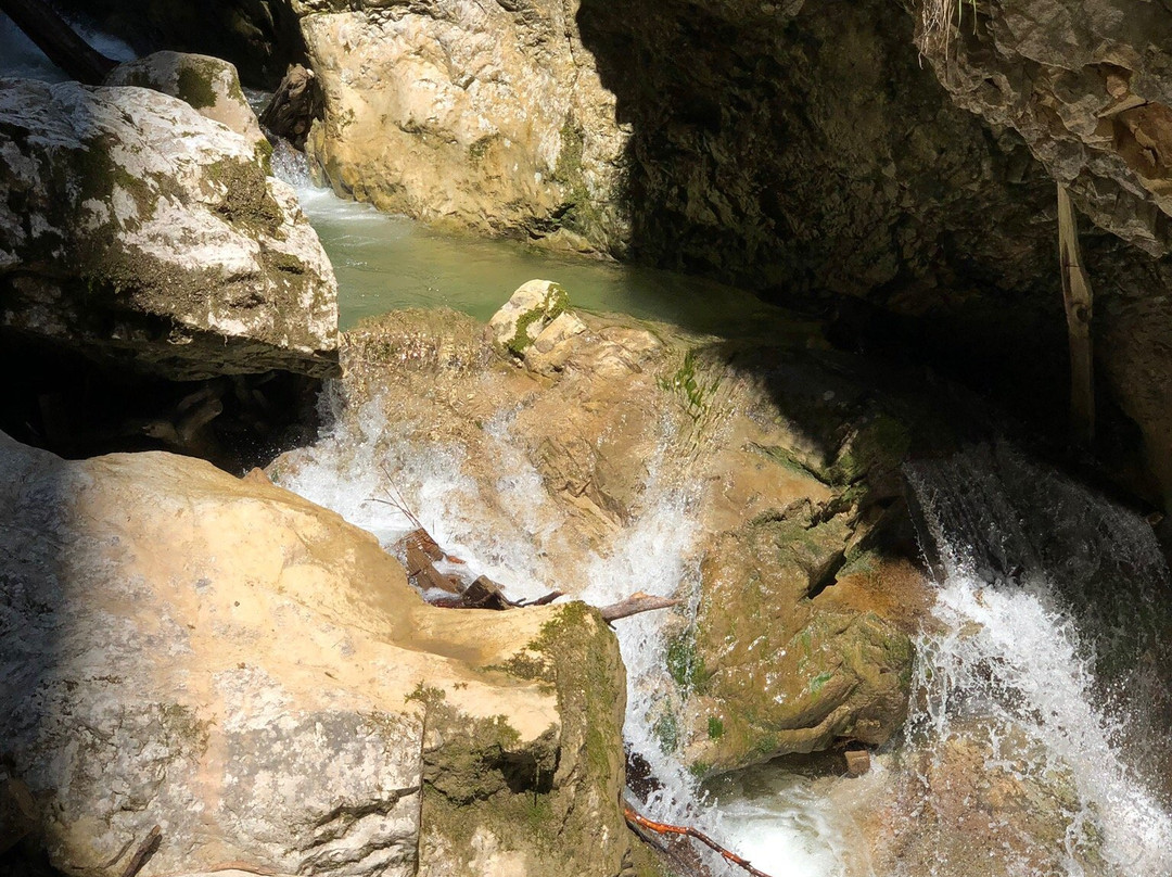 Woerschachklamm-Worschach必去景点
