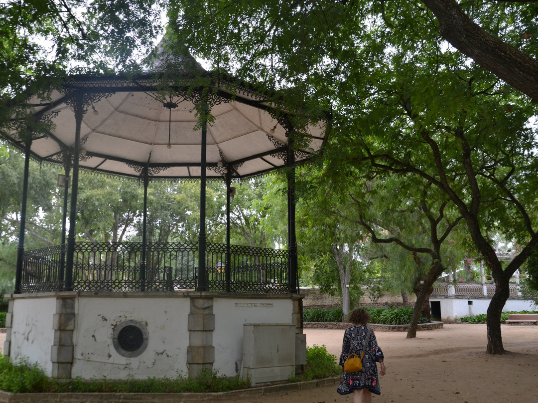 Jardim Gago Coutinho e Sacadura Cabral - Jardim Público景点图片