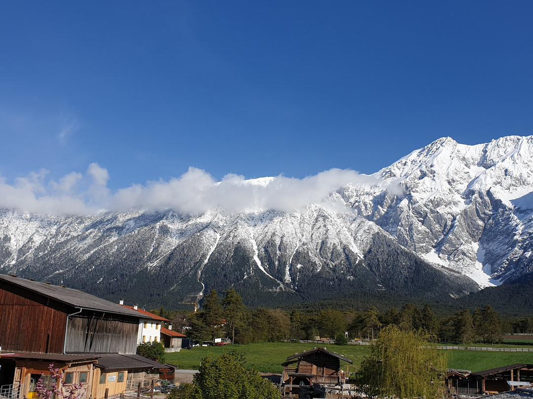 Alpenresort Schwarz主图