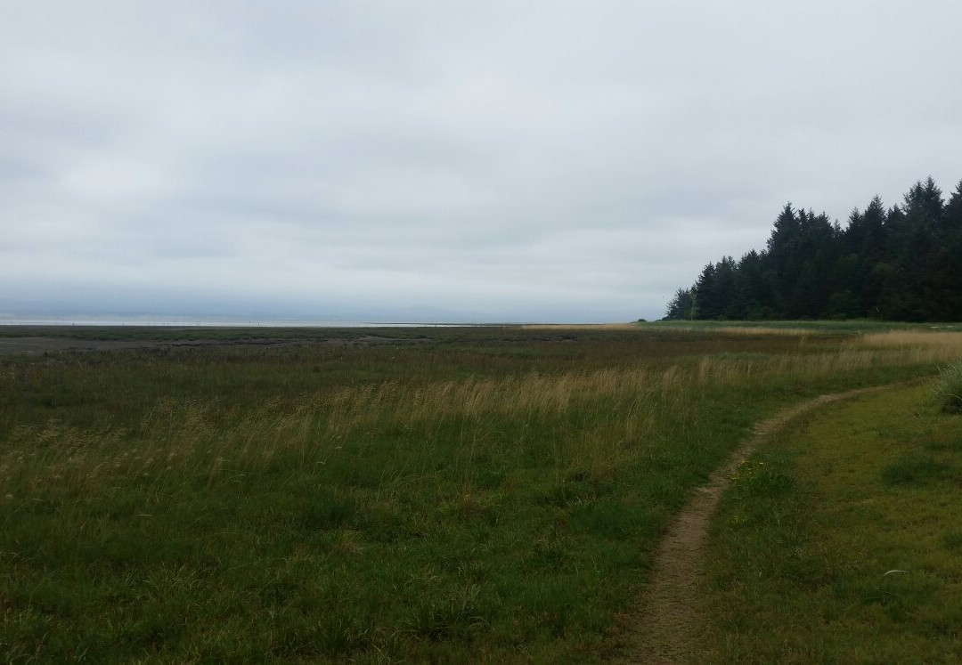 Leadbetter Point State Park-Oysterville必去景点