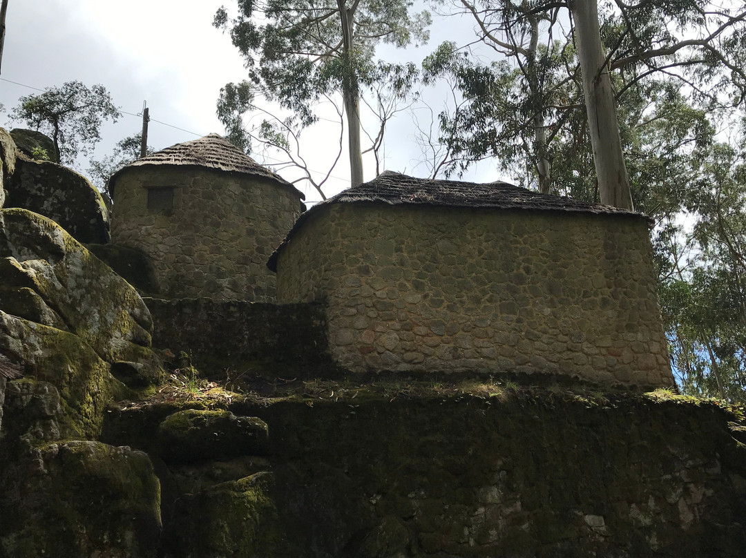 Castro de S. Lourenco景点图片