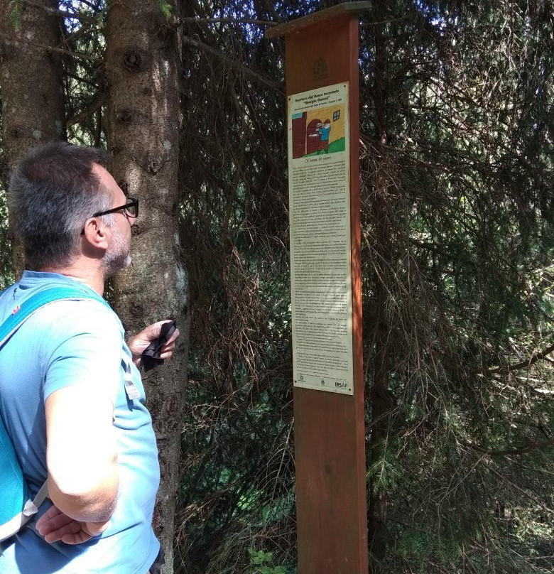 Partenza per il Sentiero del Bosco Incantato景点图片