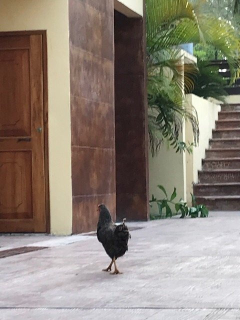 Hotel Maya Balam主图