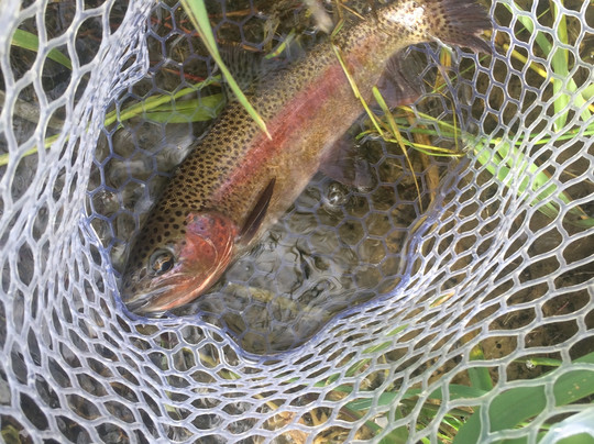 Confluence Fly Shop-本德必去景点