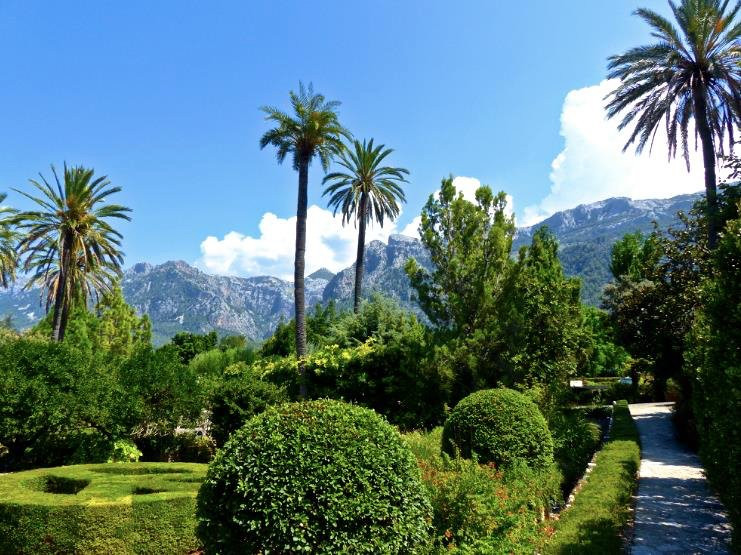 Jardín Botánico de Sóller景点图片