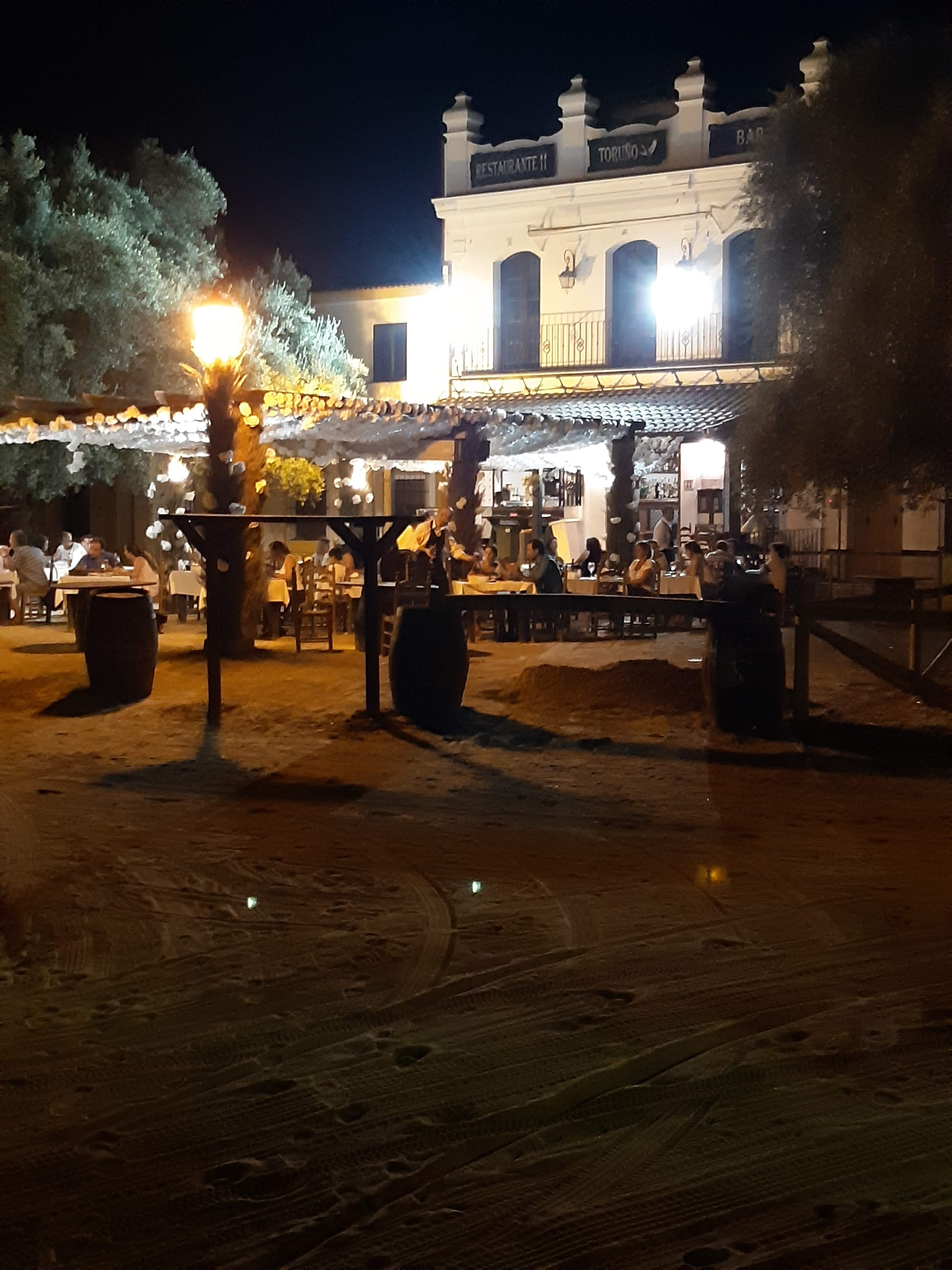 Hotel Toruno-餐饮