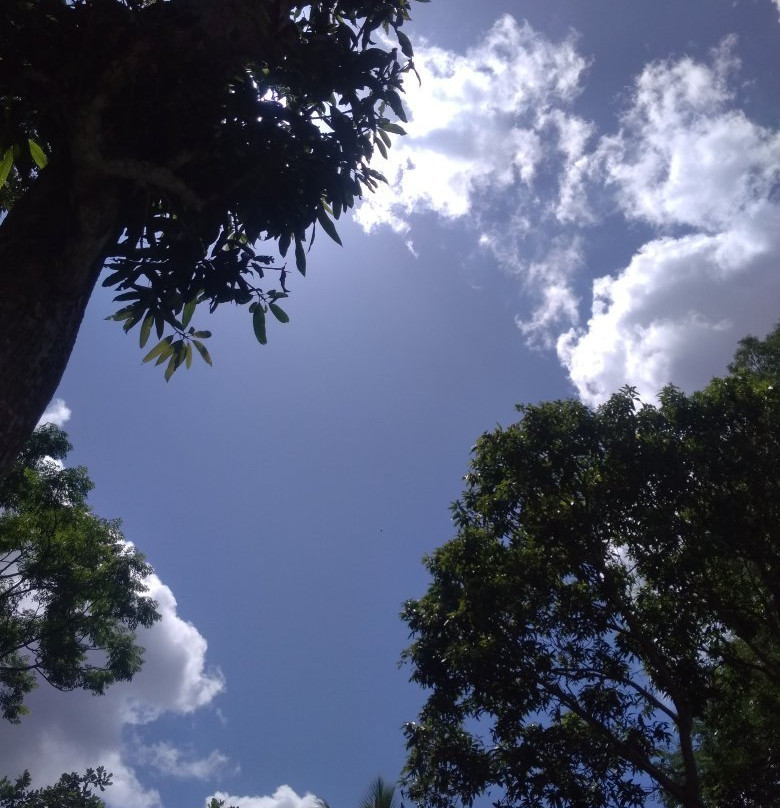 Mawella Bird Sanctuary Bird Watching-唐卡拉必去景点