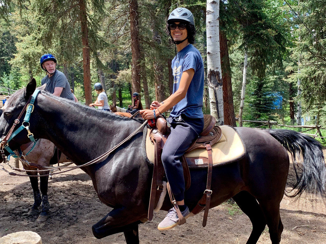 Bear Mountain Stables-Conifer必去景点