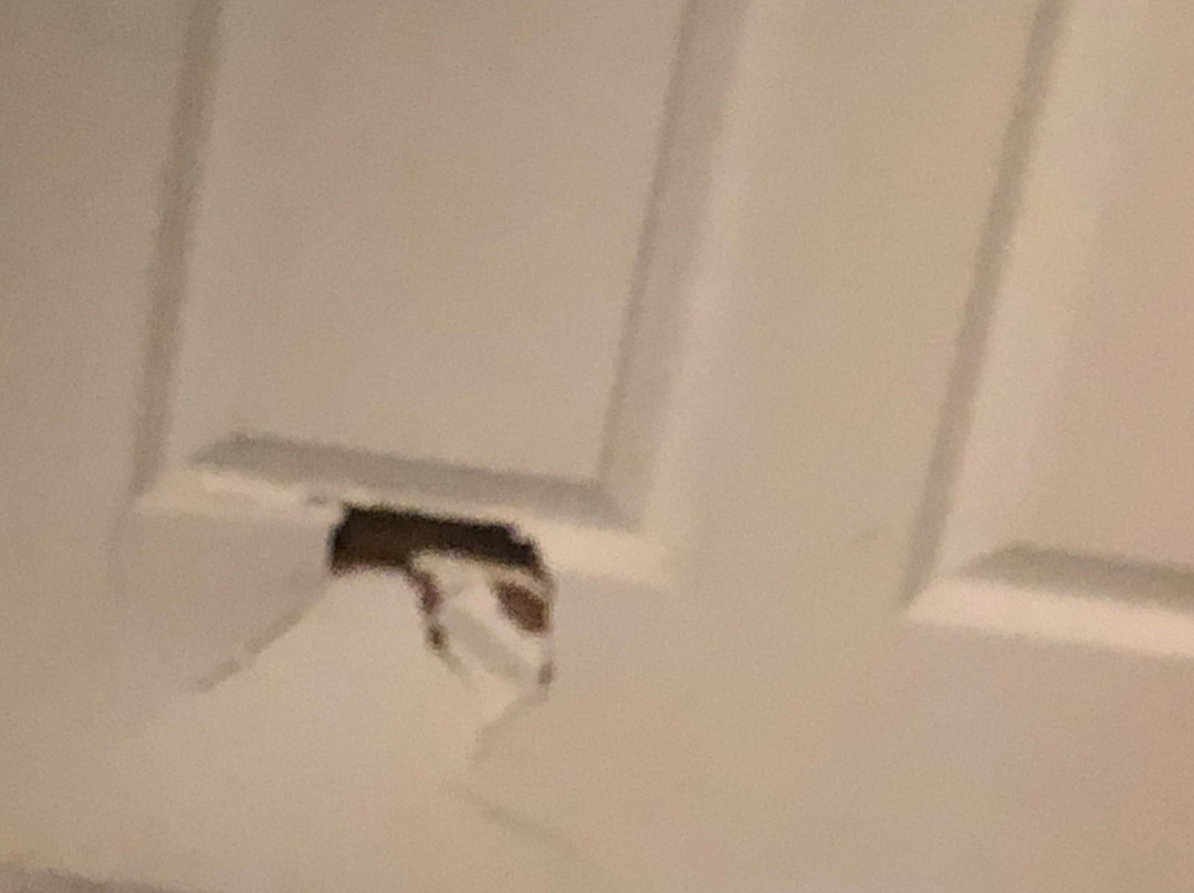 埃尔帕索机场浩枫温德姆公寓店主图