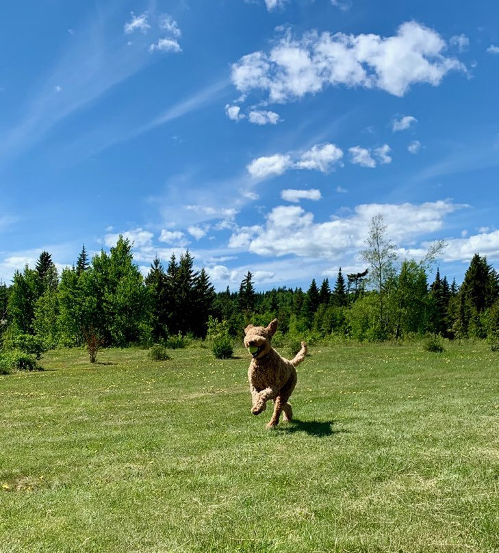 New Horton Lake Inn主图