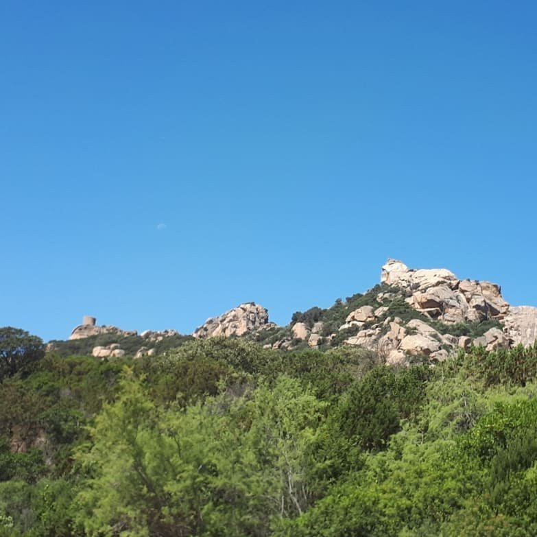 Torra di Roccapina景点图片
