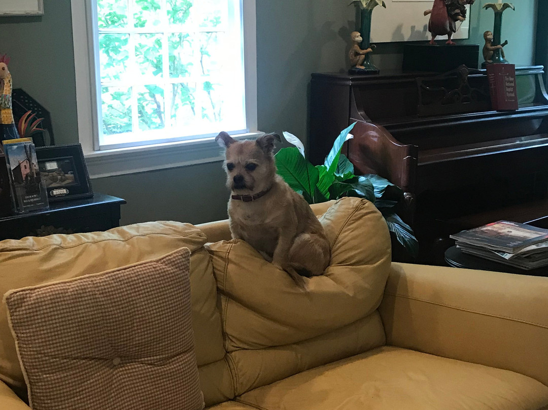 Green Acres Bed and Breakfast主图