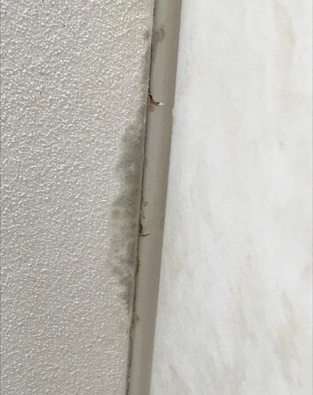 Quality Inn & Suites主图