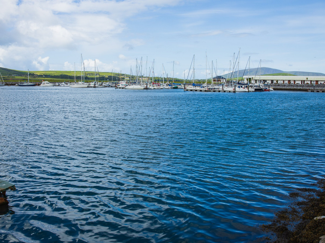 Dingle Bay景点图片