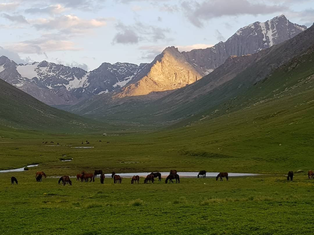 Jyrgalan Valley-Karakol必去景点