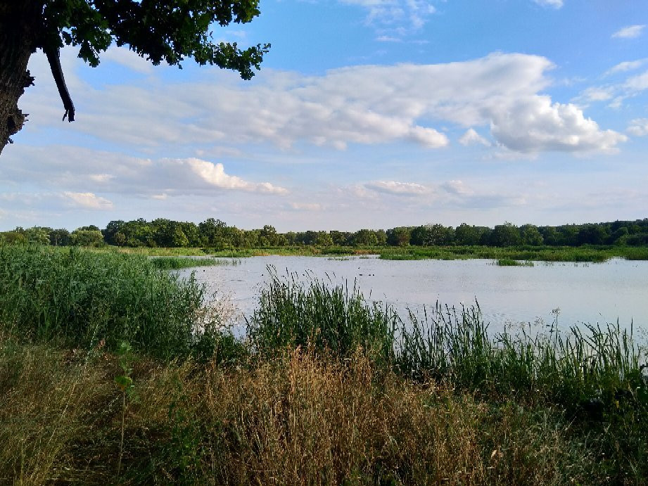 Dolina Bystrzycy Landscape Park景点图片