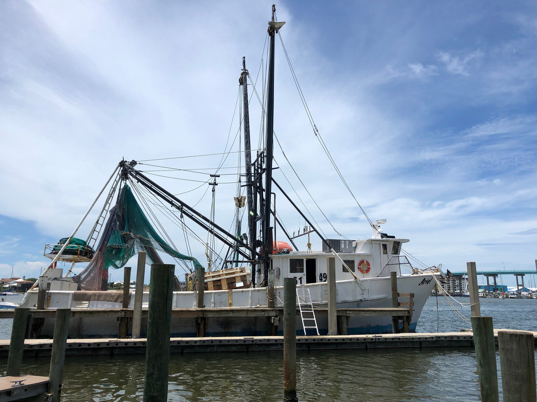 Trico Shrimp Co-迈尔斯堡海滩必去景点