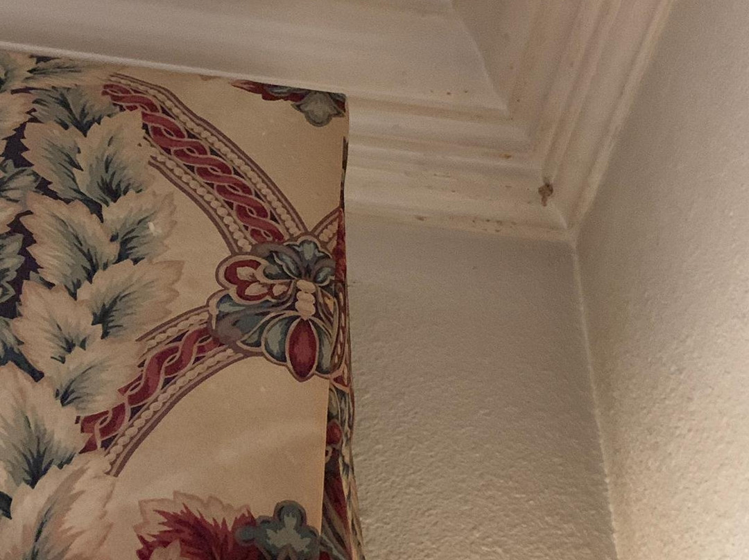 Homestead Apart-Hotel主图