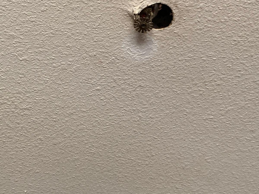 Homestead Apart-Hotel主图