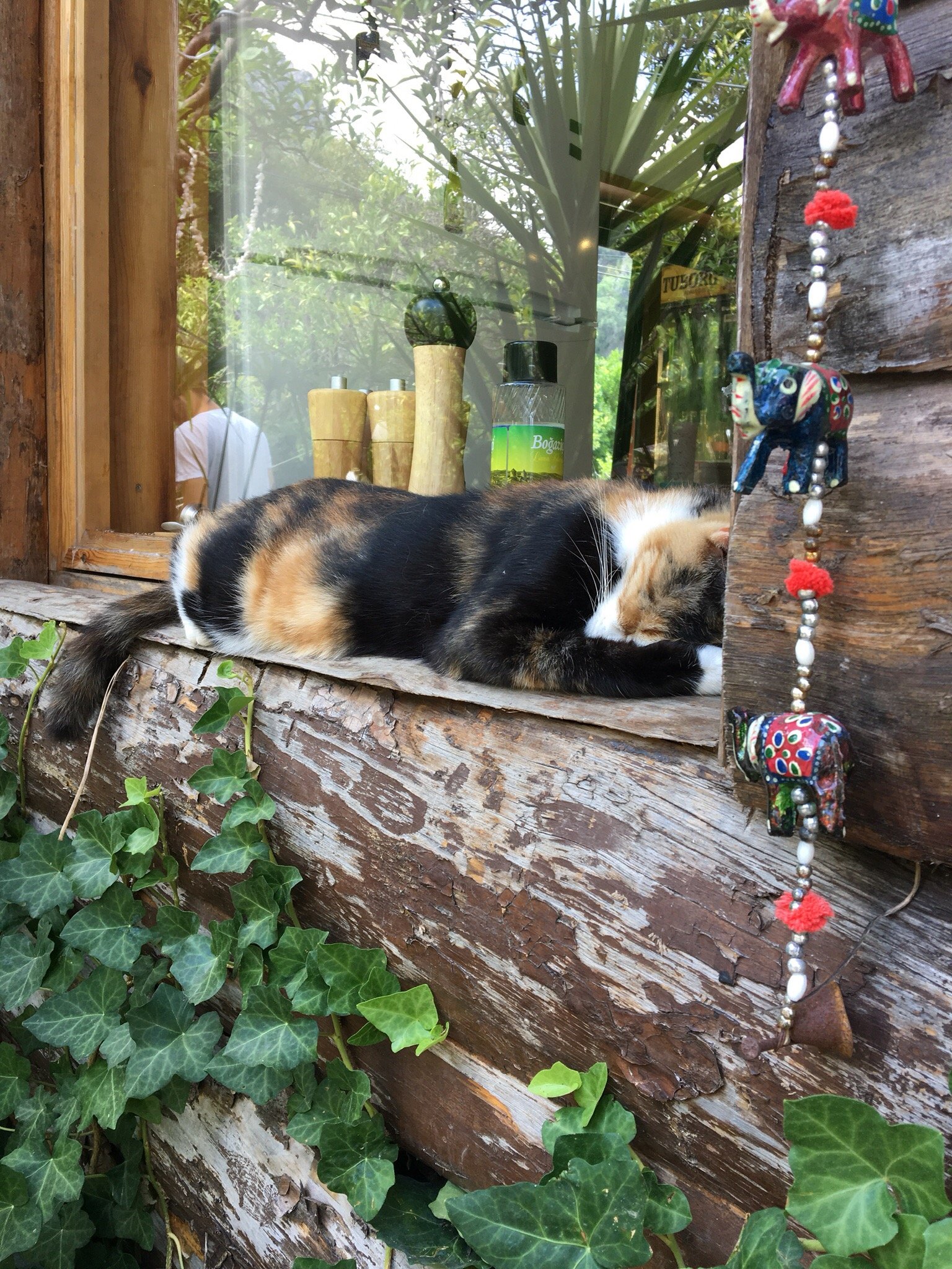 Relax Point Butik Pansiyon-官方